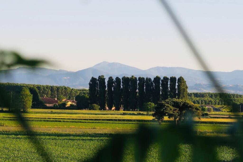 La Casa Nei Campi Villa Badia Pavese Екстериор снимка