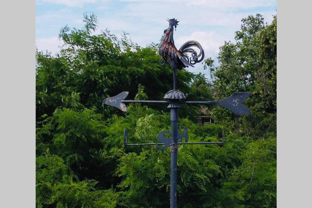 La Casa Nei Campi Villa Badia Pavese Екстериор снимка