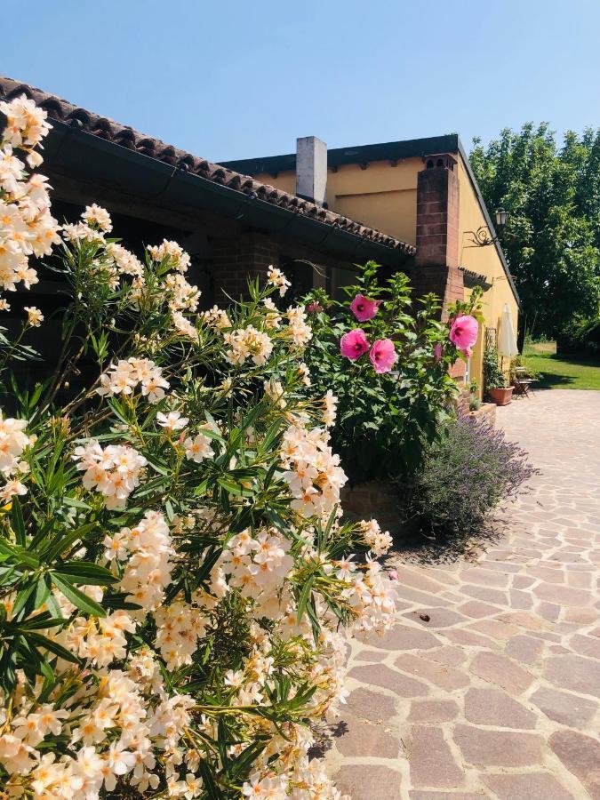 La Casa Nei Campi Villa Badia Pavese Екстериор снимка